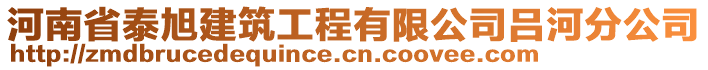 河南省泰旭建筑工程有限公司呂河分公司