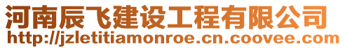 河南辰飛建設(shè)工程有限公司
