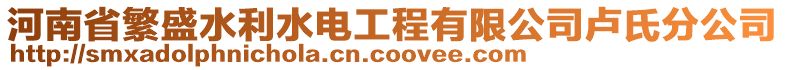 河南省繁盛水利水電工程有限公司盧氏分公司