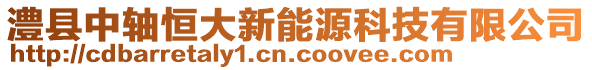 澧縣中軸恒大新能源科技有限公司