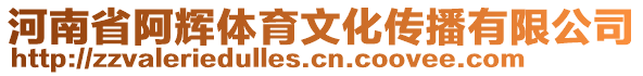 河南省阿輝體育文化傳播有限公司