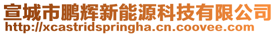 宣城市鵬輝新能源科技有限公司