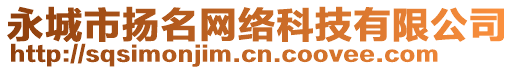 永城市揚(yáng)名網(wǎng)絡(luò)科技有限公司