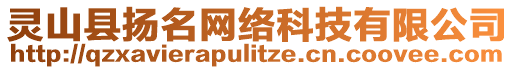 靈山縣揚(yáng)名網(wǎng)絡(luò)科技有限公司