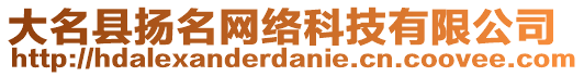 大名縣揚(yáng)名網(wǎng)絡(luò)科技有限公司