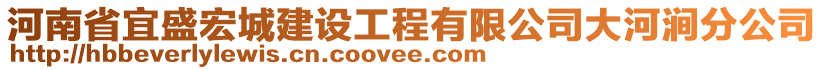 河南省宜盛宏城建設工程有限公司大河澗分公司