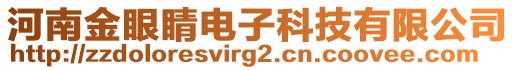 河南金眼睛電子科技有限公司