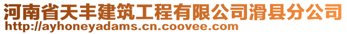 河南省天豐建筑工程有限公司滑縣分公司