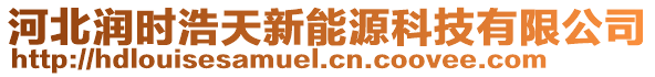 河北潤時浩天新能源科技有限公司