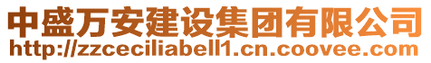 中盛万安建设集团有限公司