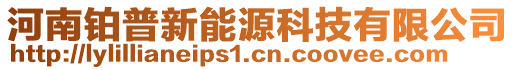 河南鉑普新能源科技有限公司