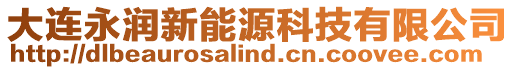 大連永潤(rùn)新能源科技有限公司