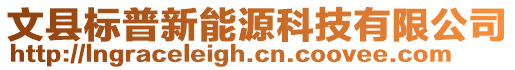 文縣標(biāo)普新能源科技有限公司