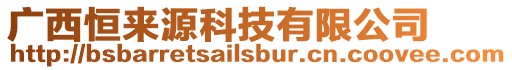 廣西恒來源科技有限公司