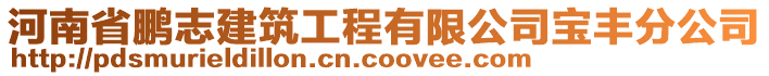 河南省鵬志建筑工程有限公司寶豐分公司