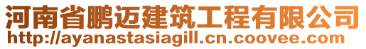 河南省鵬邁建筑工程有限公司