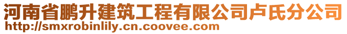 河南省鵬升建筑工程有限公司盧氏分公司