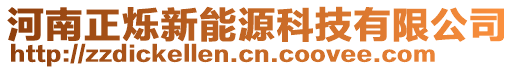 河南正爍新能源科技有限公司