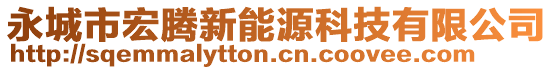 永城市宏騰新能源科技有限公司