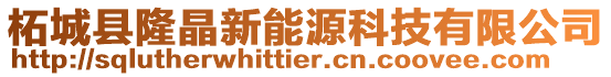 柘城縣隆晶新能源科技有限公司