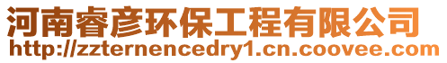 河南睿彥環保工程有限公司