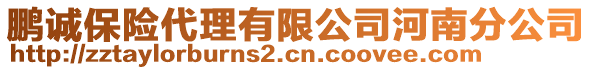 鵬誠保險代理有限公司河南分公司
