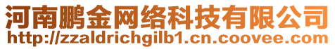 河南鵬金網(wǎng)絡(luò)科技有限公司