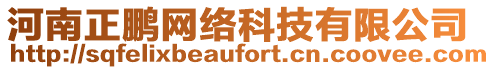 河南正鵬網絡科技有限公司