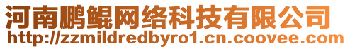 河南鵬鯤網絡科技有限公司