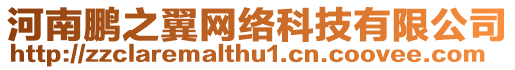 河南鵬之翼網(wǎng)絡(luò)科技有限公司