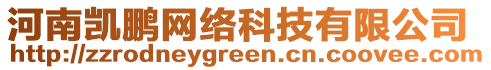 河南凱鵬網絡科技有限公司