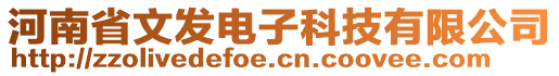 河南省文發電子科技有限公司