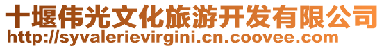 十堰偉光文化旅游開發(fā)有限公司