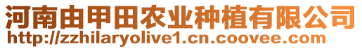 河南由甲田農(nóng)業(yè)種植有限公司