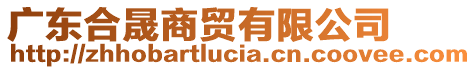 廣東合晟商貿有限公司