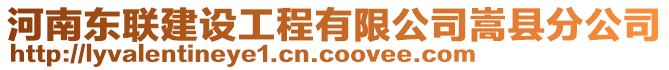 河南東聯建設工程有限公司嵩縣分公司