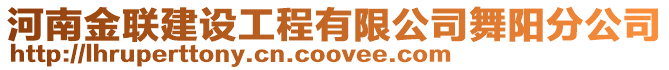 河南金聯(lián)建設(shè)工程有限公司舞陽分公司