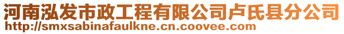 河南泓發(fā)市政工程有限公司盧氏縣分公司