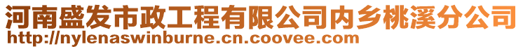 河南盛发市政工程有限公司内乡桃溪分公司