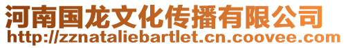 河南國(guó)龍文化傳播有限公司