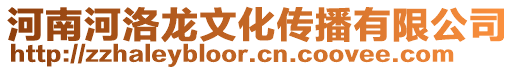 河南河洛龍文化傳播有限公司