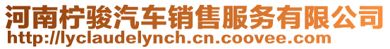 河南檸駿汽車銷售服務(wù)有限公司