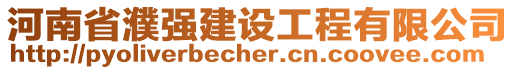 河南省濮強(qiáng)建設(shè)工程有限公司