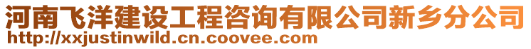 河南飛洋建設工程咨詢有限公司新鄉(xiāng)分公司