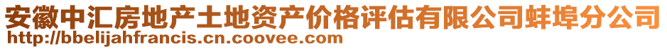 安徽中匯房地產(chǎn)土地資產(chǎn)價(jià)格評(píng)估有限公司蚌埠分公司