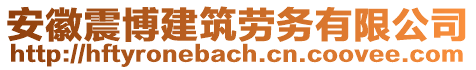 安徽震博建筑勞務(wù)有限公司