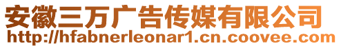 安徽三萬廣告?zhèn)髅接邢薰? style=