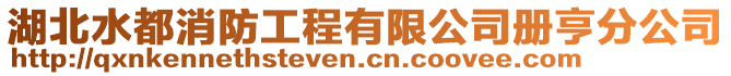 湖北水都消防工程有限公司冊亨分公司