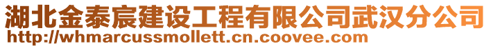 湖北金泰宸建設(shè)工程有限公司武漢分公司