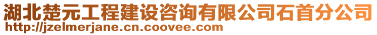 湖北楚元工程建設(shè)咨詢有限公司石首分公司